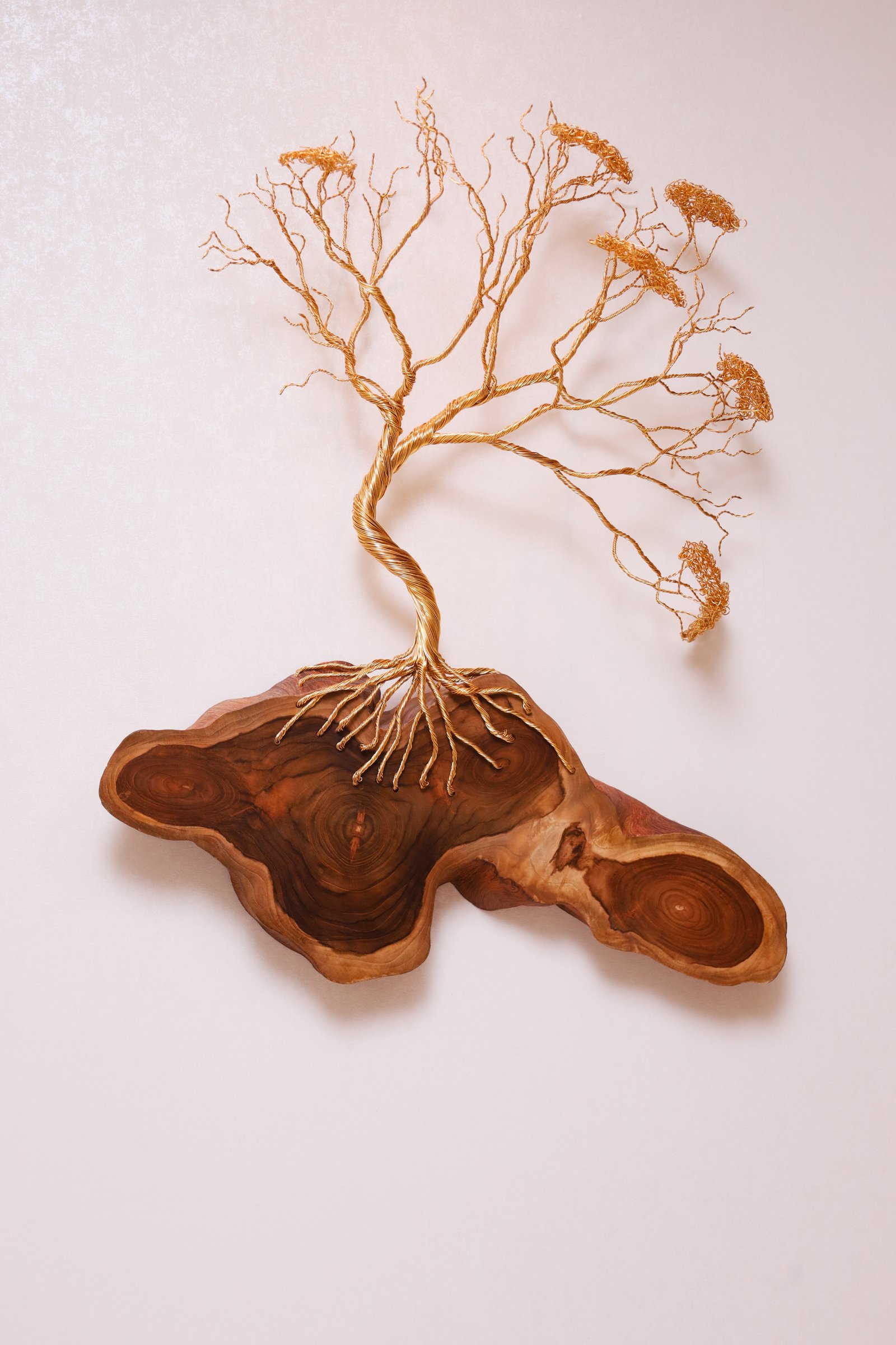 Clínica Fontana — ambiente 4